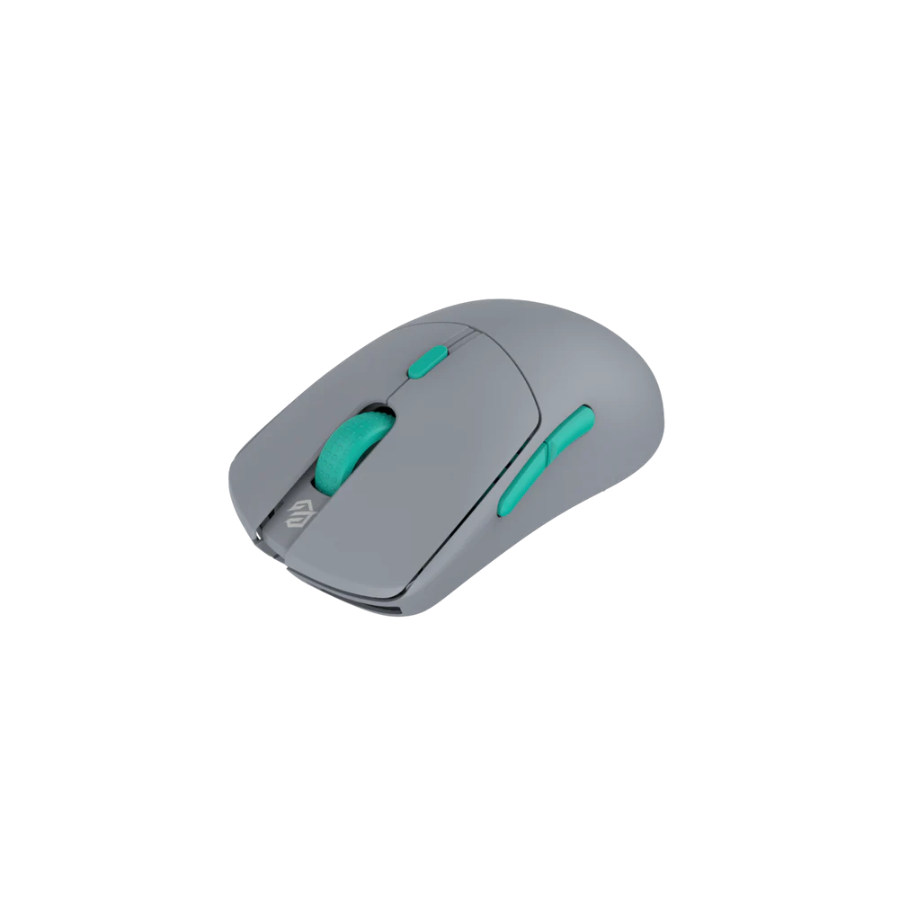 HTS Plus ( HTS+ ) 4K Wireless Gaming Mouse,USB: Type C port, Come With 8K Receiver