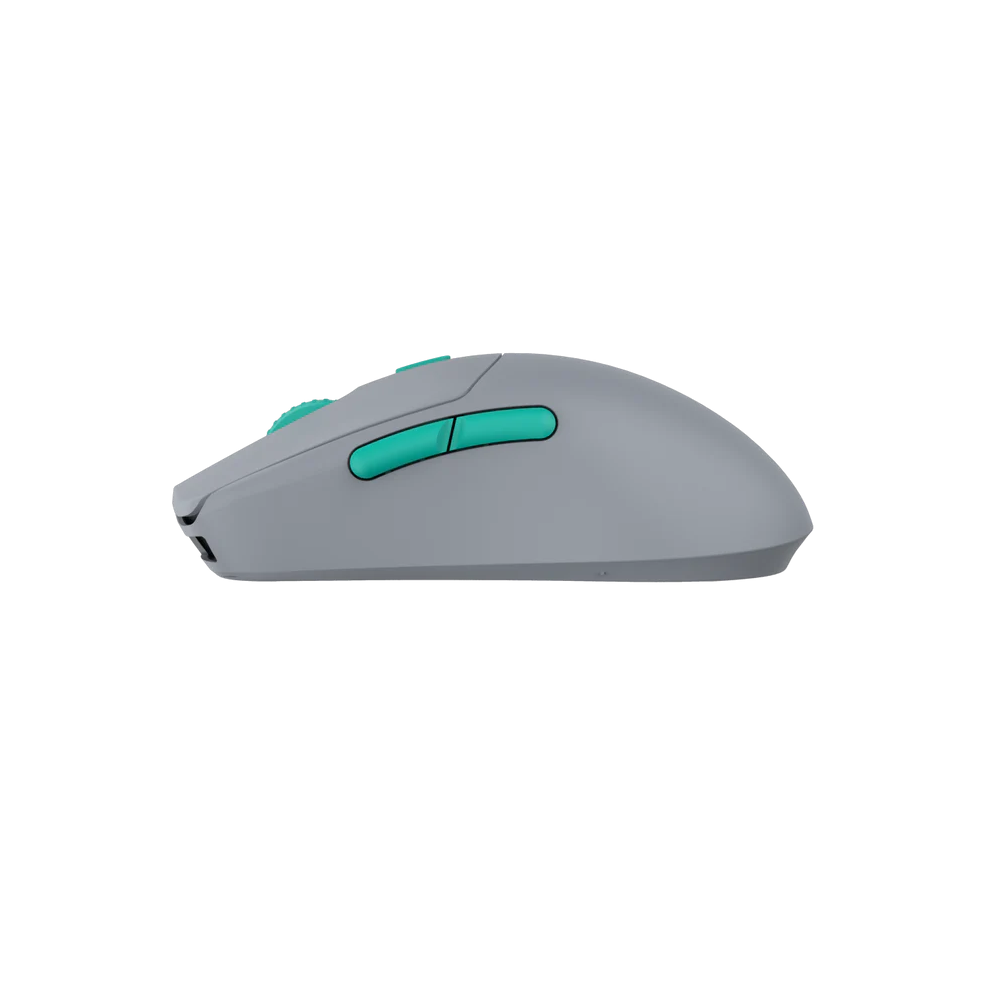 HTS Plus ( HTS+ ) 4K Wireless Gaming Mouse,USB: Type C port, Come With 8K Receiver