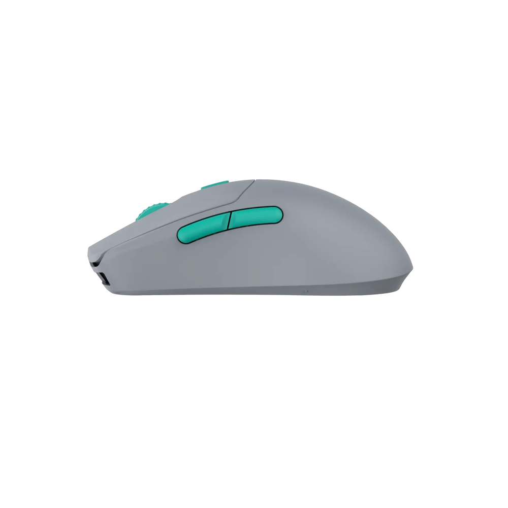 HTS Plus ( HTS+ ) 4K Wireless Gaming Mouse,USB: Type C port